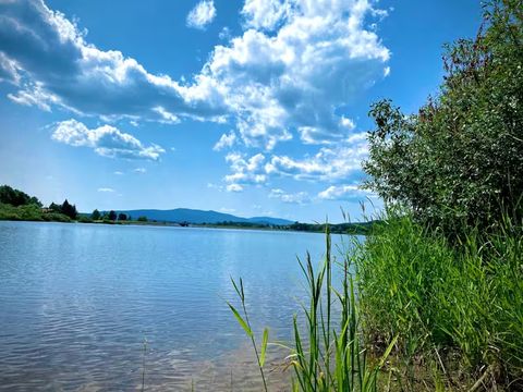 Letní břeh Lipna s rákosím a zelení, klidná hladina a kupovité mraky nad kopci