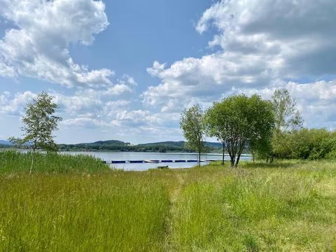 Vyšlapaná cesta loukou k břehu Lipna, po stranách břízy a v dálce zakotvené lodě